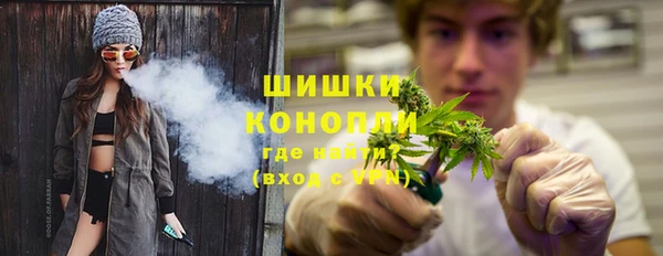 прущие грибы Пестово
