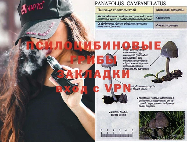 прущие грибы Пестово